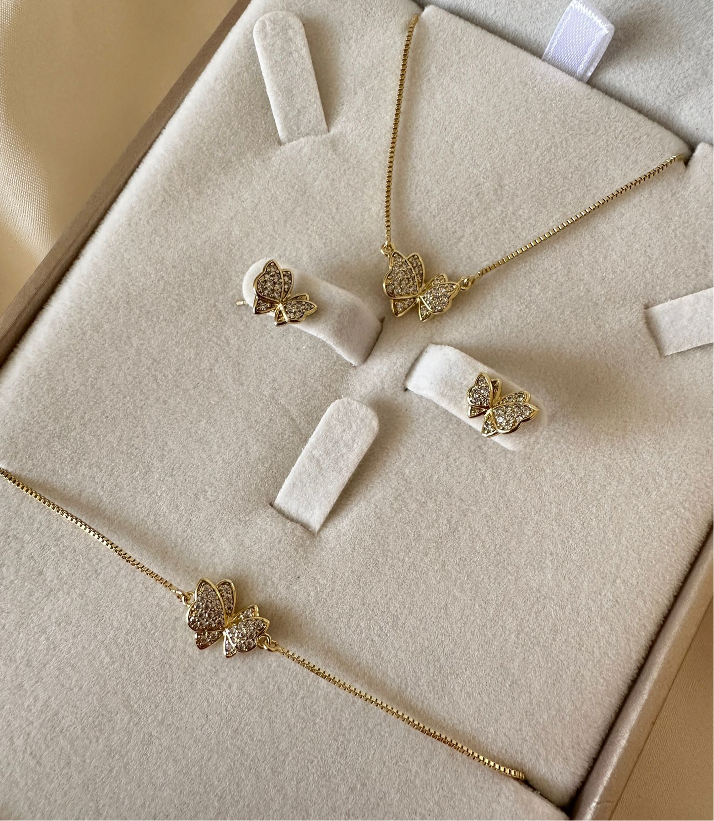 Mariposa|| Conjunto