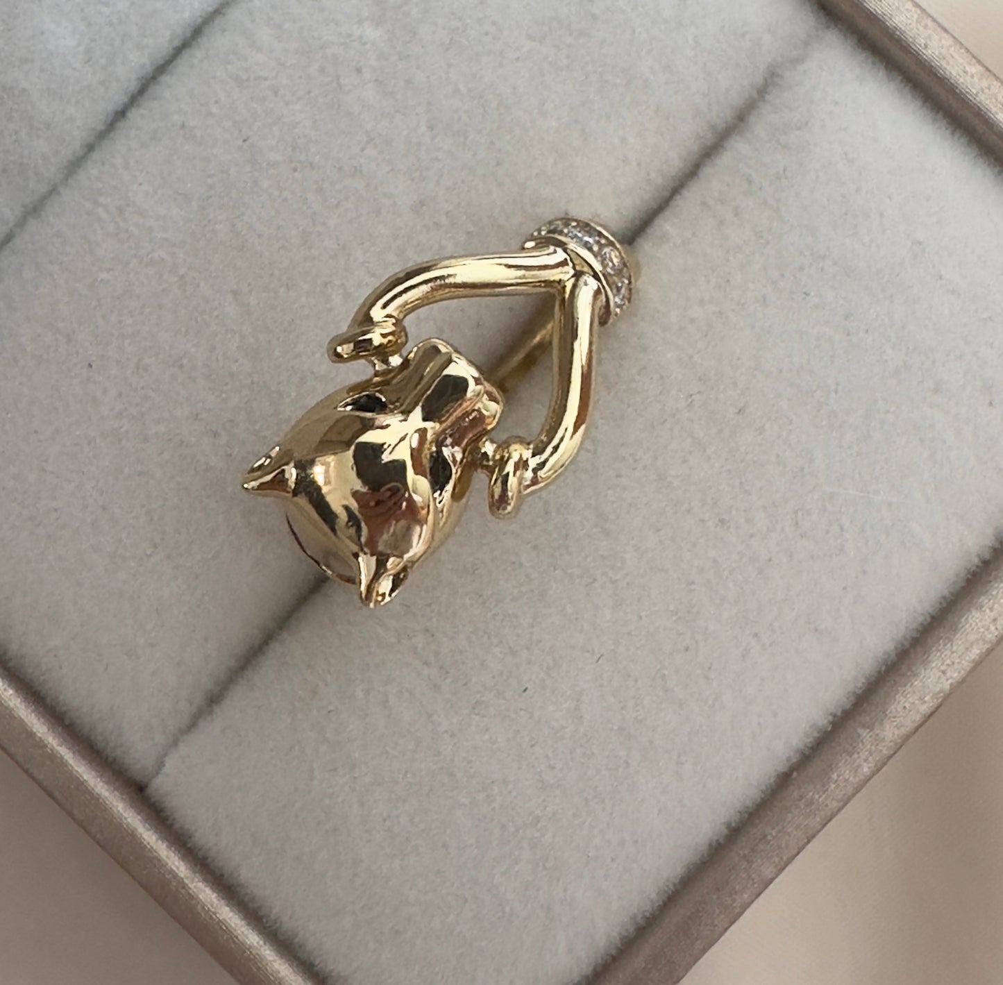 Jaguar||Anillo