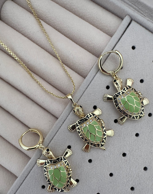 Conjunto||Tortuga