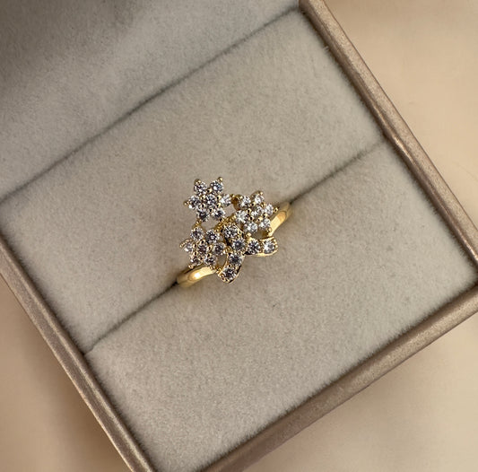 Anillo||Mery